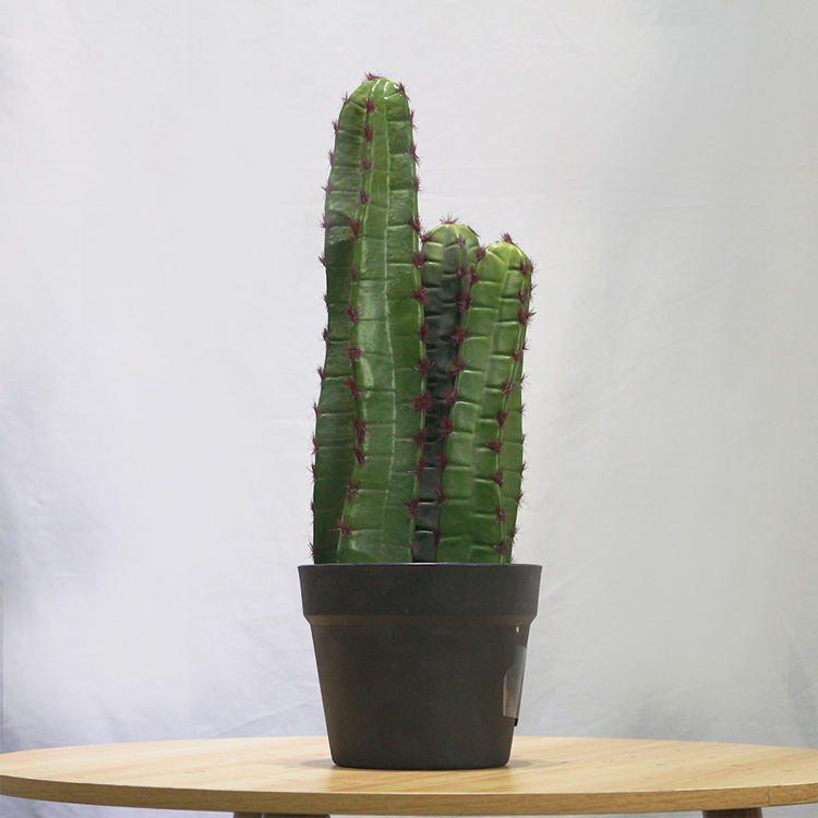 High-Quality-Faux-Greenery-Plastic-Plant-Home-Decor-Cactus (4).jpg 